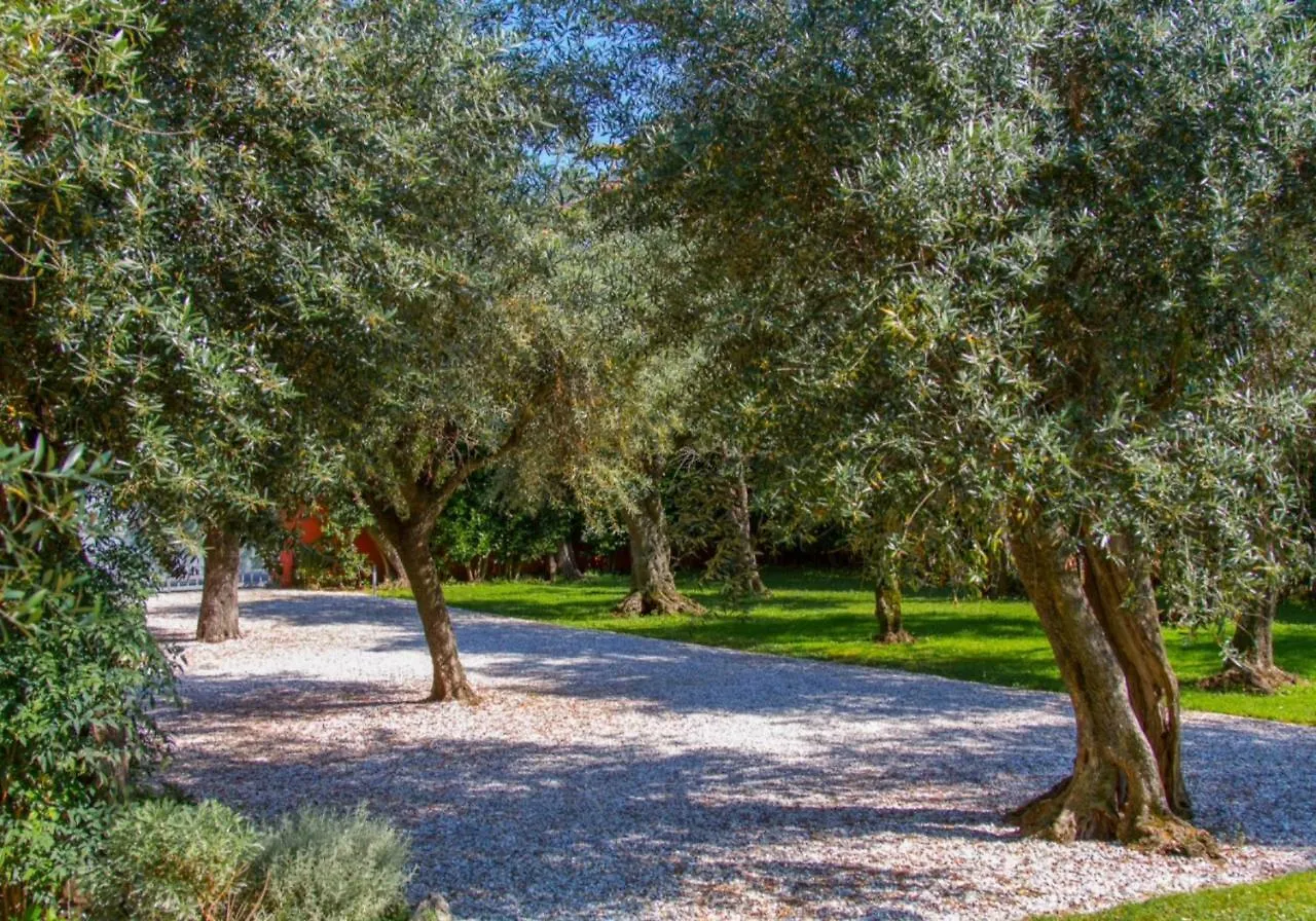 Villa Suite Agave Seravezza
